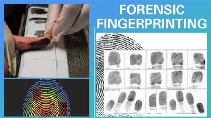 4 Girl 1 Fingerprint: A Comprehensive Guide to the Phenomenon and Its Implications