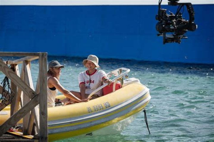 Diana Nyad: The Unyielding Spirit of an Open-Water Legend