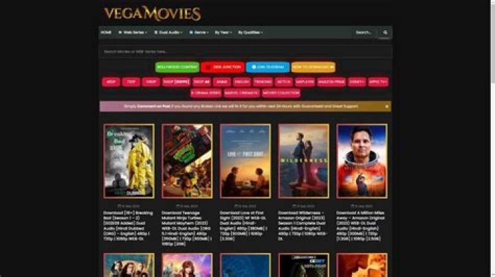 Dual Audio Movies Download: Your Ultimate Guide to Enjoying Movies with Dual Language Audio