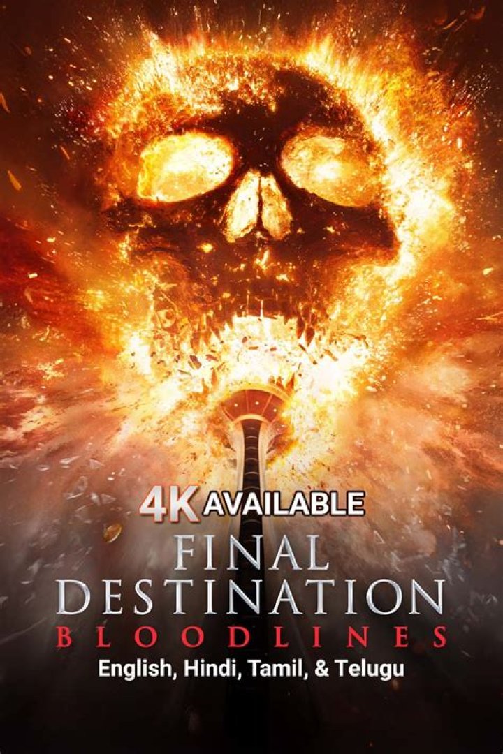 FilmyFly.XYZ: The Ultimate Destination for Movie Enthusiasts