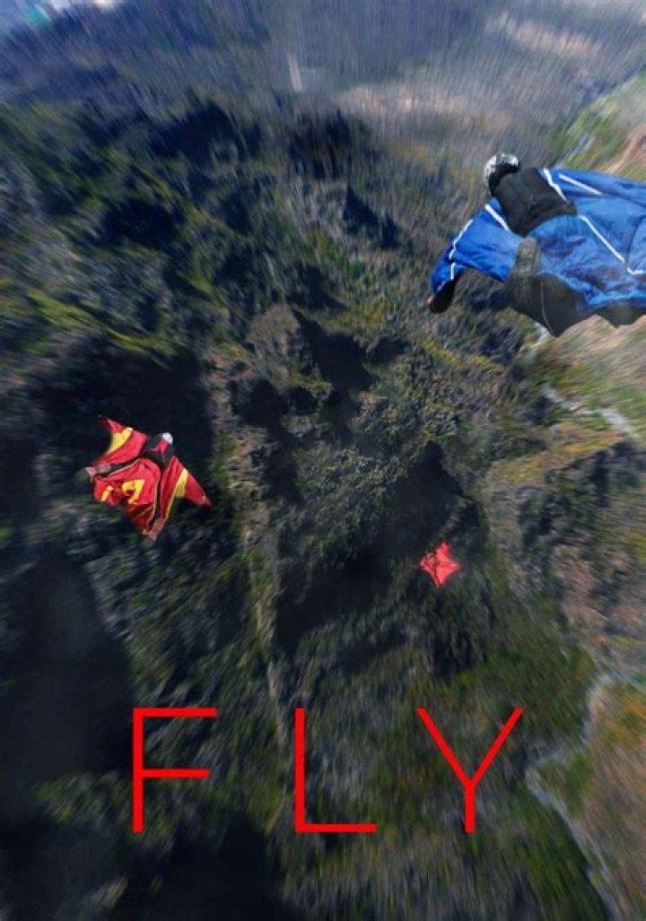 Flimy Fly: The Ultimate Adventure That Takes You to New Heights
