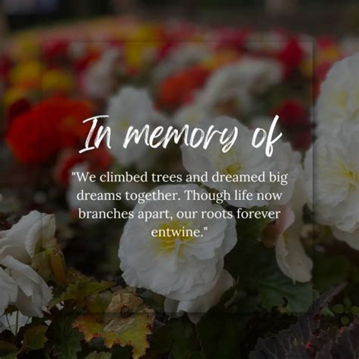 Greenhill Funeral Home Troy AL: A Compassionate Tribute to Cherished Memories