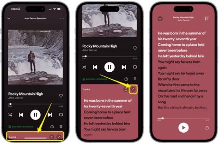 How Does Spotify Confirm Student: A Comprehensive Guide