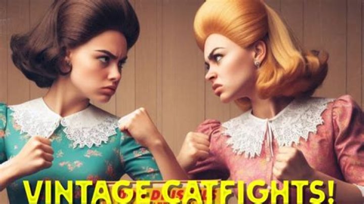 Joan Wise Catfights: The Ultimate Guide to Drama, Legacy, and Everything In-Between