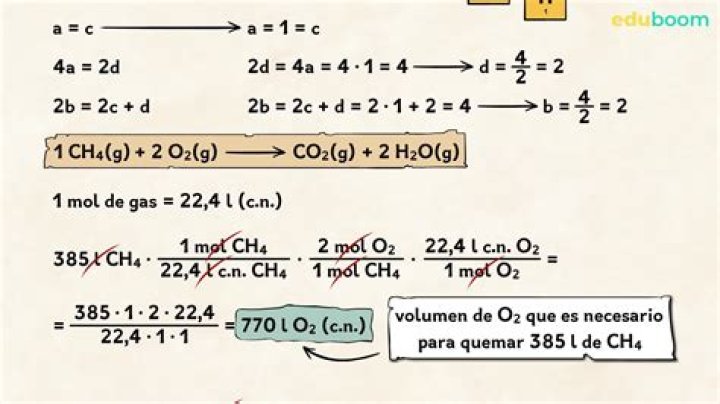 Masa 49com: A Comprehensive Guide to Understanding Its Impact and Benefits