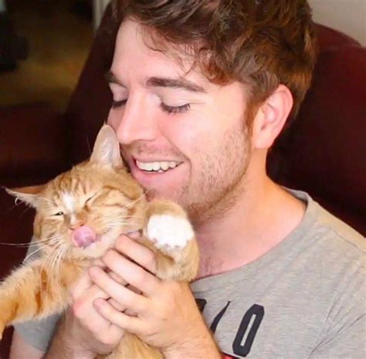 Shane Dawson and His Cat: A Heartwarming Journey of Love and Companionship