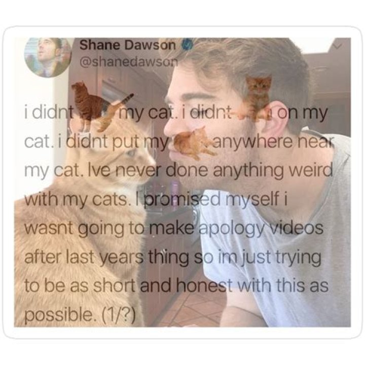 Shane Dawson Cat Drama: The Inside Story You Need to Know
