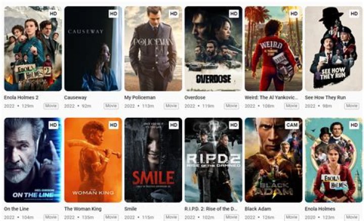 Site FilmyFly: Your Ultimate Destination for Streaming and Downloading Movies