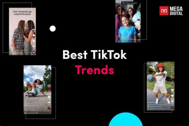 TikTok: The Ultimate Guide to Understanding TikTok Trends and Strategies