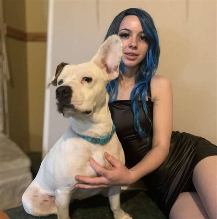 Unleashing the Ultimate Truth About dogxxx: The Companion You Deserve