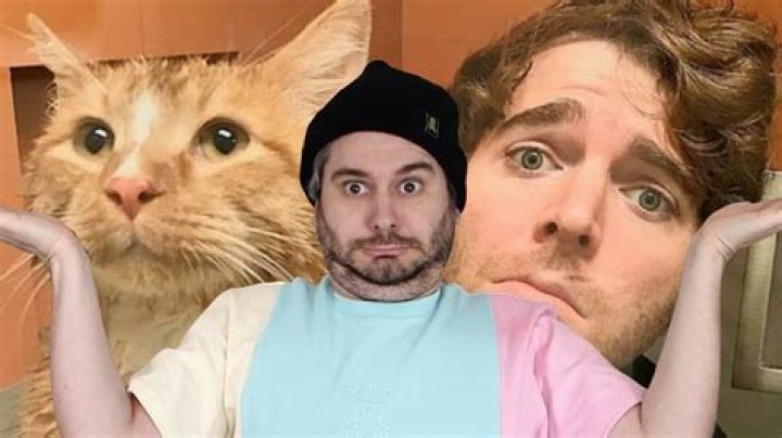 What Did Shane Dawson Do With His Cat Cheeto? A Comprehensive Look Into the Viral Sensation