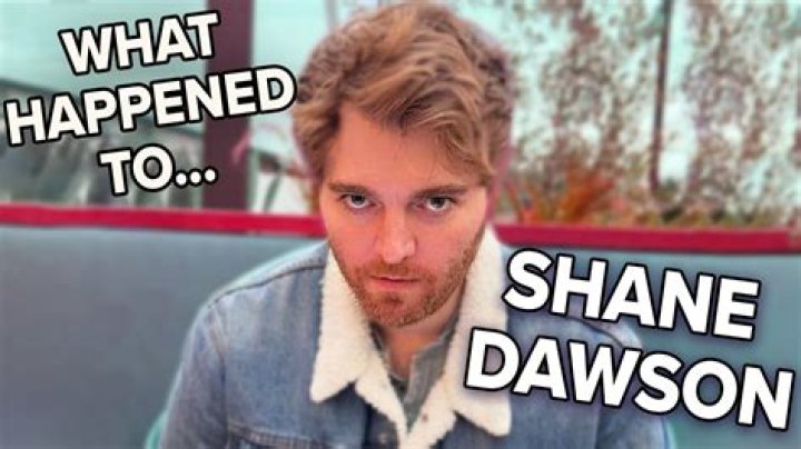What Happened to Shane Dawson's Cat: A Comprehensive Look