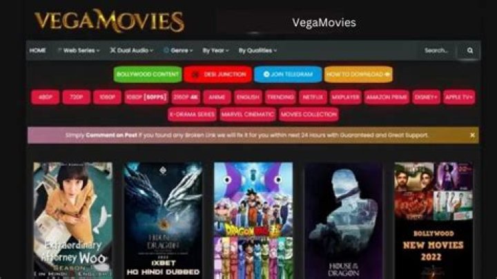 Why Vegamovies Movies is the Ultimate Streaming Haven for Movie Lovers